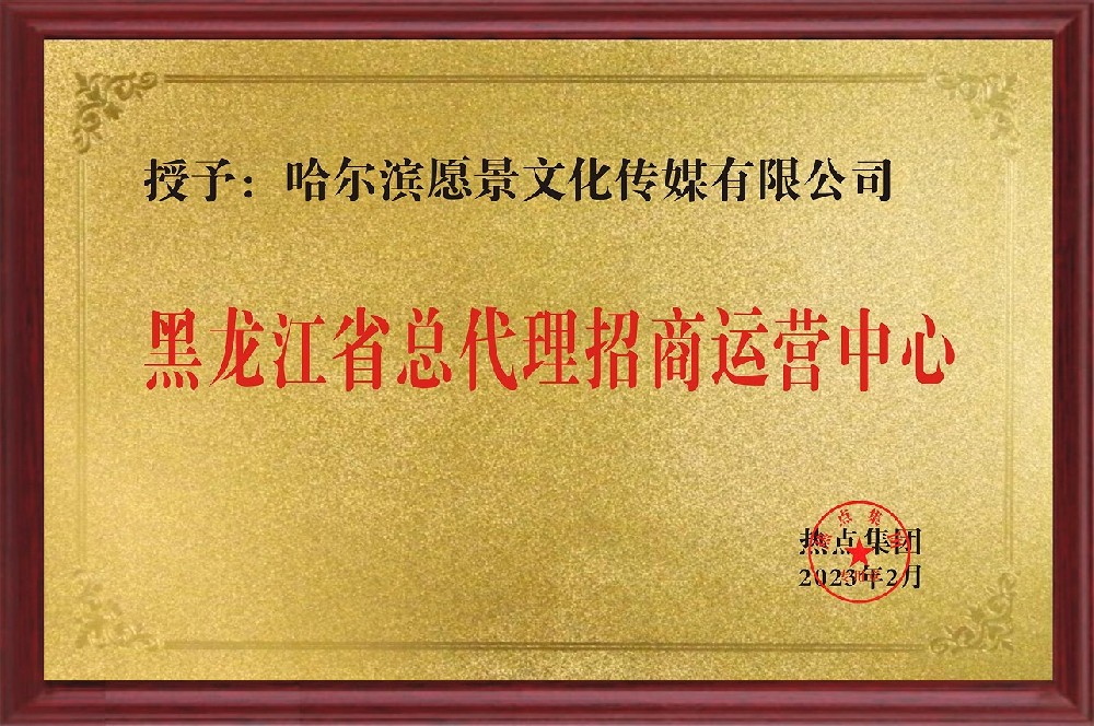 愿景文化传媒有限公司