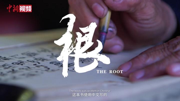 【澜湄印象】跨越山水 | 根
